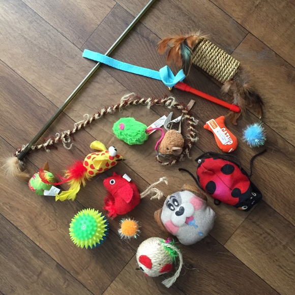 Random Cat Toys - Picture 6 of 8